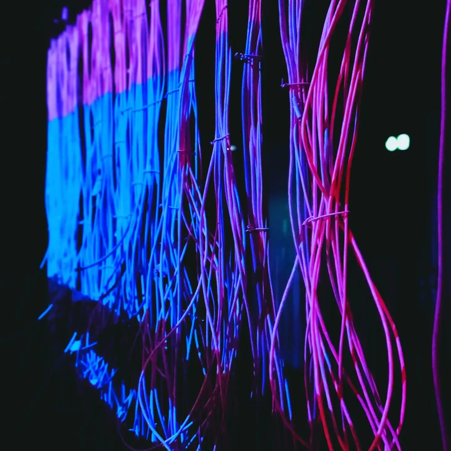 Walls of glowing cables, magenta and blue, in the dark room of the installation