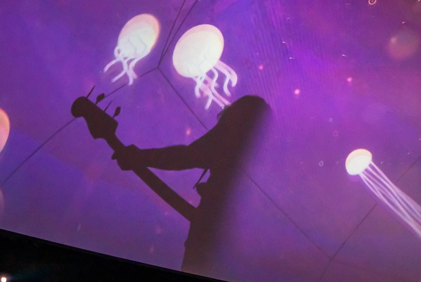 Jellyfish projected on the dome